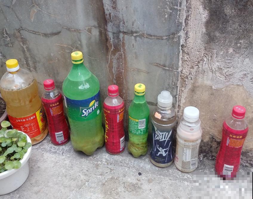 家里常见的“垃圾”，丢掉就是丢钱，拿来养花效果超棒