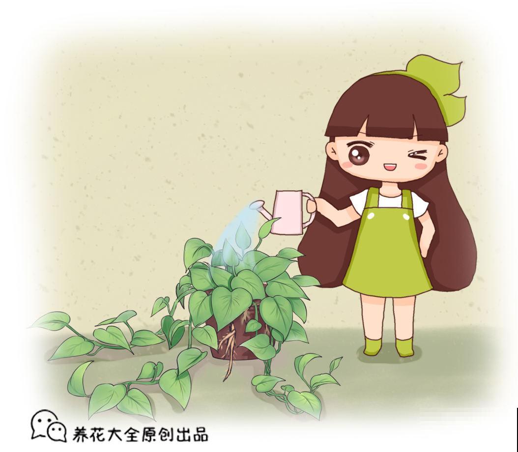 养花一直不开花，要是再不管，估计就成“柴火垛”