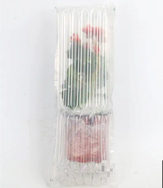 秋冬养盆丽格海棠,花朵像牡丹,有金玉满堂好兆头 秋冬养盆丽格海棠,花朵像牡丹,有金玉满堂好兆头