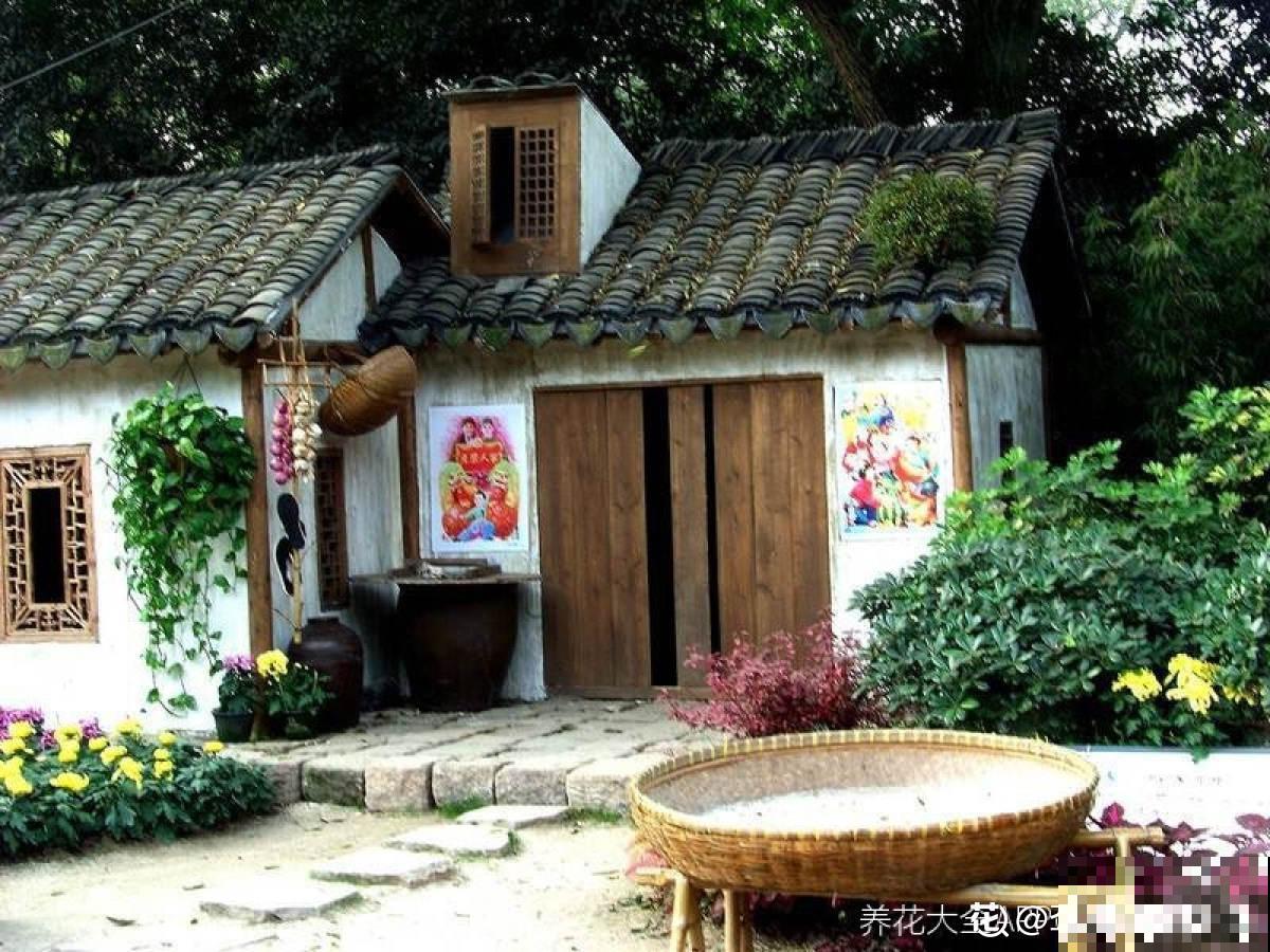 农村没人住的小平房，8万块钱就能买下来，拿来养花正好