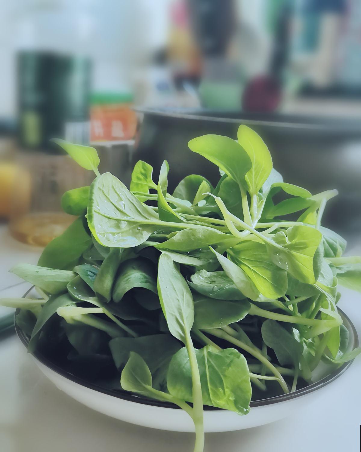 生活中的垃圾，却是养花好材料，千万别扔！