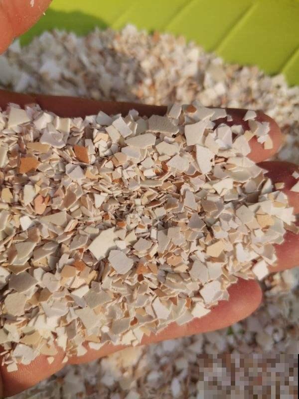 臭鸡蛋养花效果好，聪明人都学会了，省下一笔肥料钱