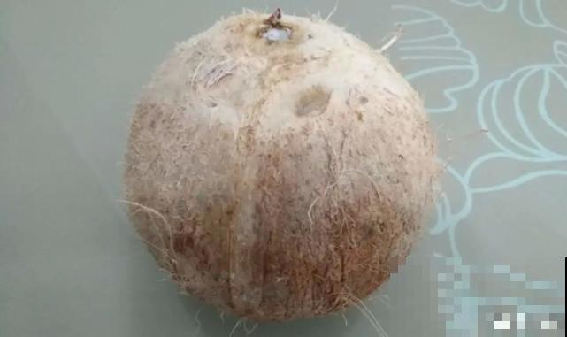 家里的“垃圾”留下，拿来养花效果好，颜值超高