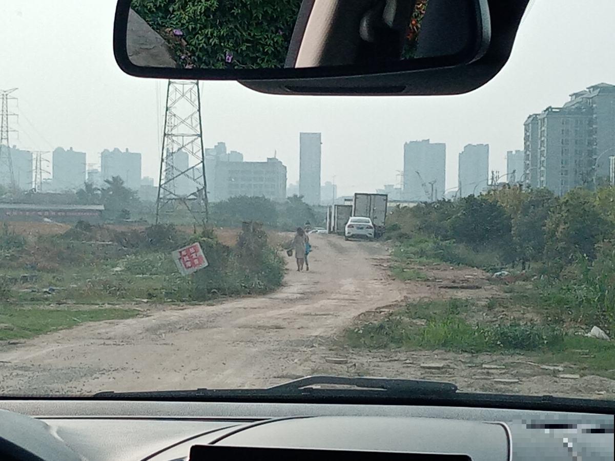 找对地方捡花,买花钱能少一半,你都知道从哪捡花吗 找对地方捡花,买花钱能少一半,你都知道从哪捡花吗