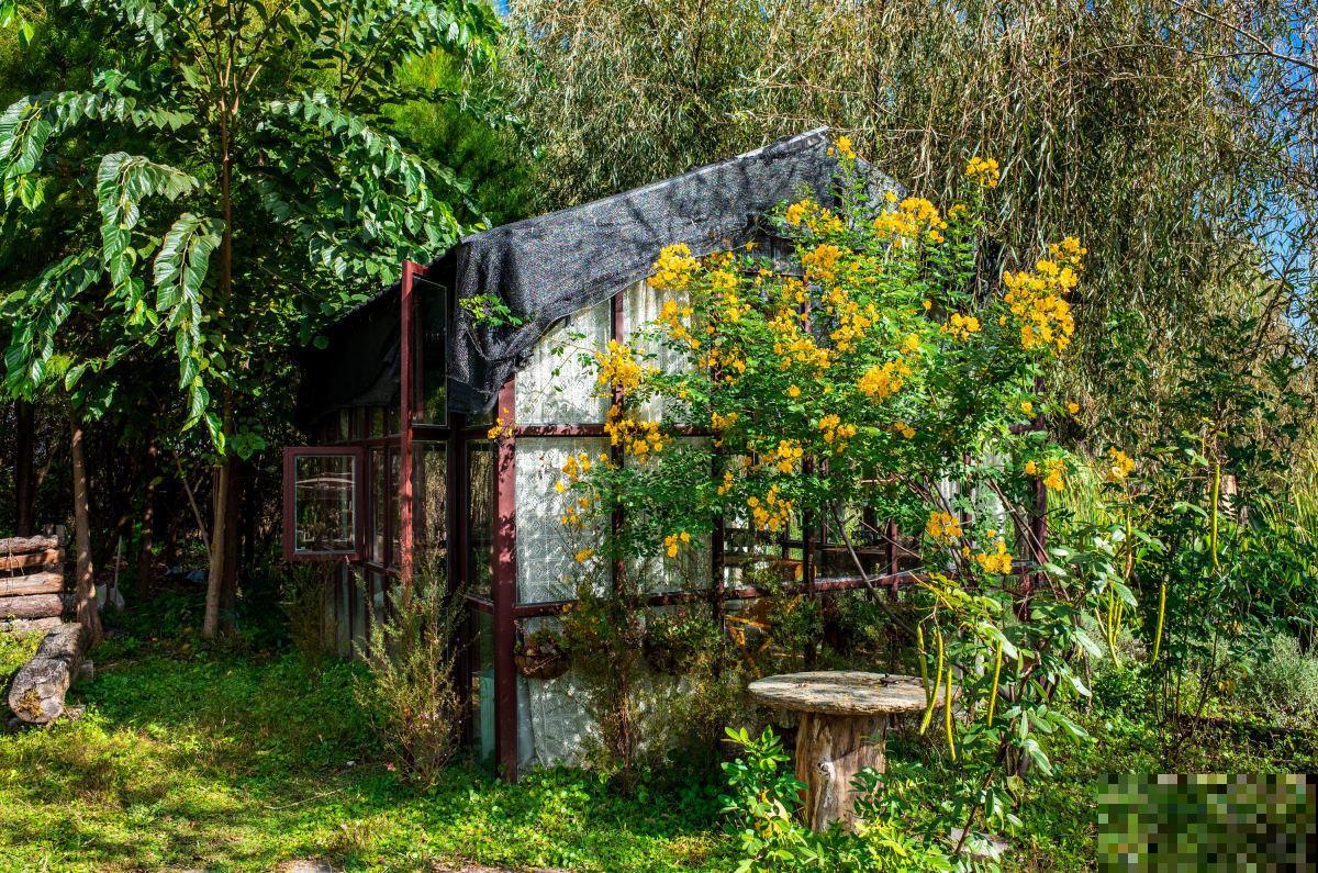 小院子人人喜欢，4个打理技巧花开满园，学到就是赚到