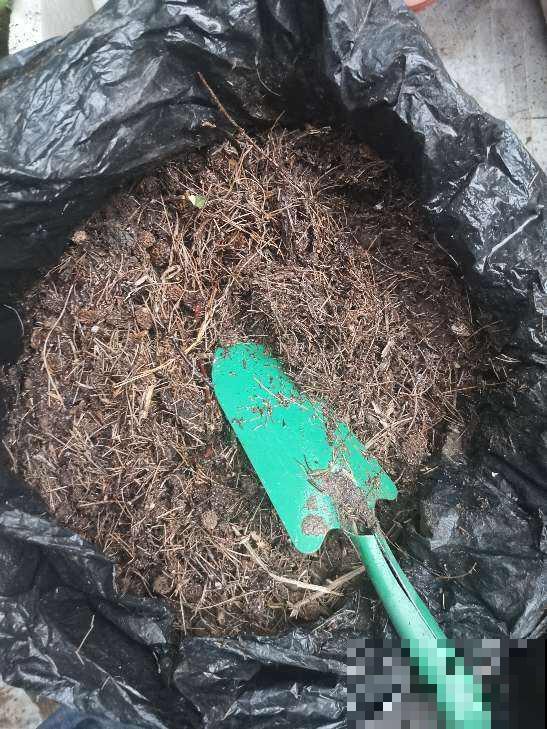 秋天养花也要学会“贴秋膘”，肥料用的对，植物才能疯长不停