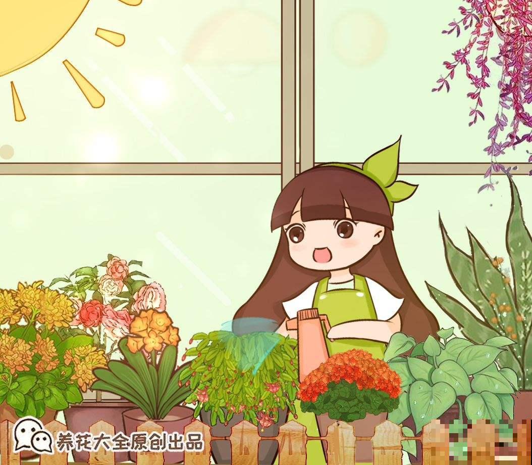 “吉祥花”红玉藤,开花红红火火,还有旺财旺运好兆头 “吉祥花”红玉藤,开花红红火火,还有旺财旺运好兆头