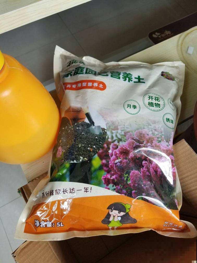 因为一个女人,我爱上了养花,从此生活有了颜色 因为一个女人,我爱上了养花,从此生活有了颜色