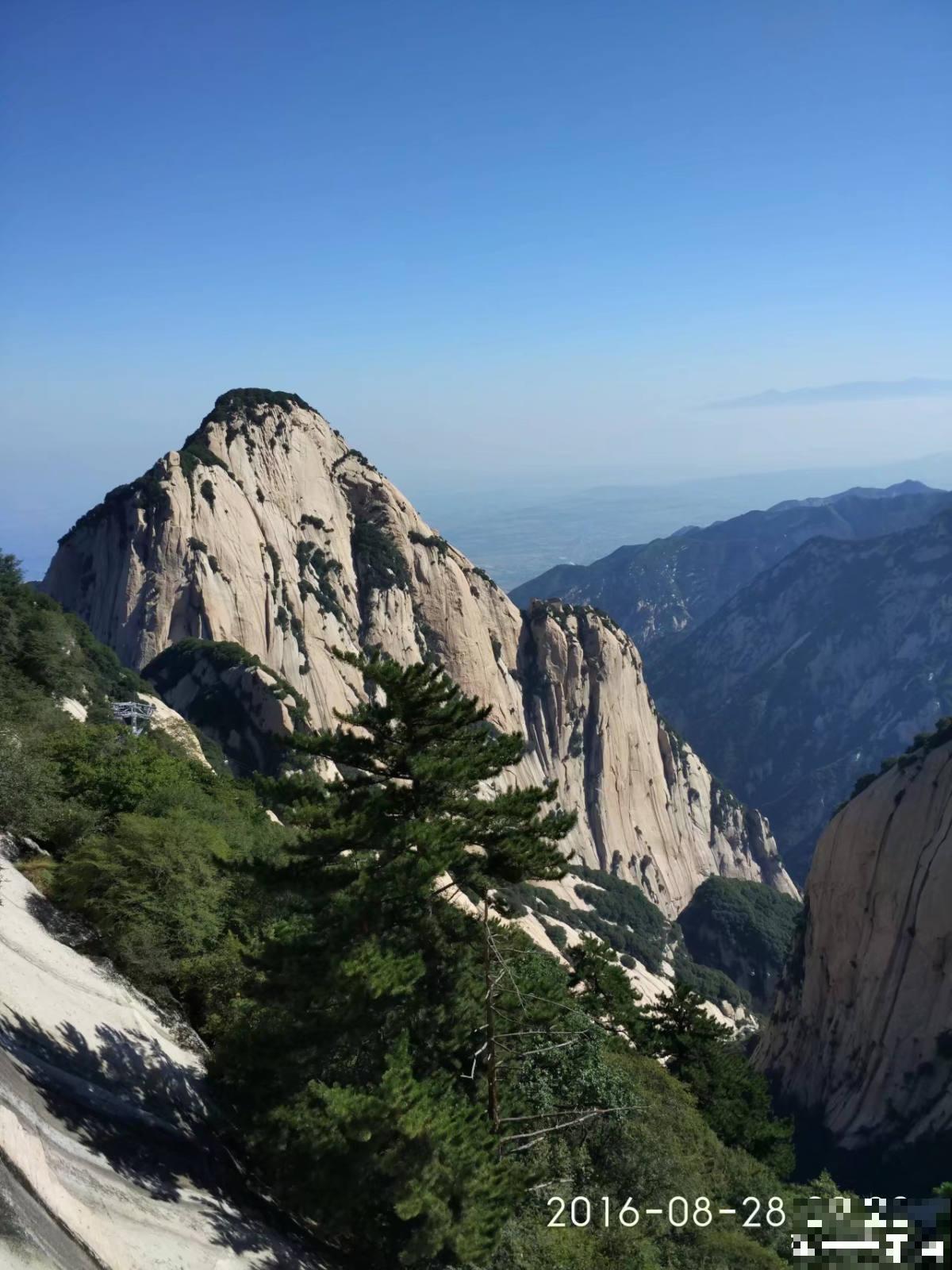 头像是花朵的人，年纪没有五十也有四十了，你同意吗