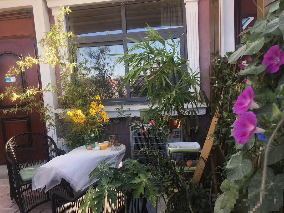 农村没人要的平房，6万块钱买下来，花2万装修，养花正好