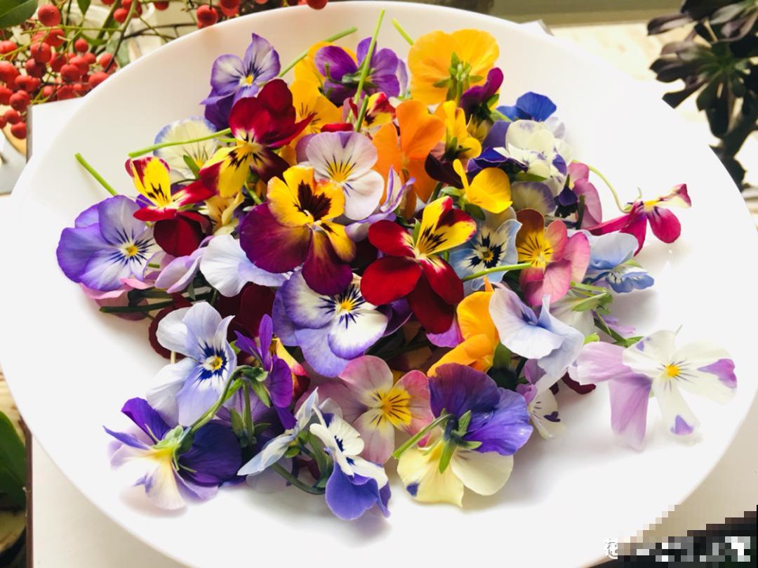 秋天在家养盆“香香花”，满屋子香味，还特耐寒