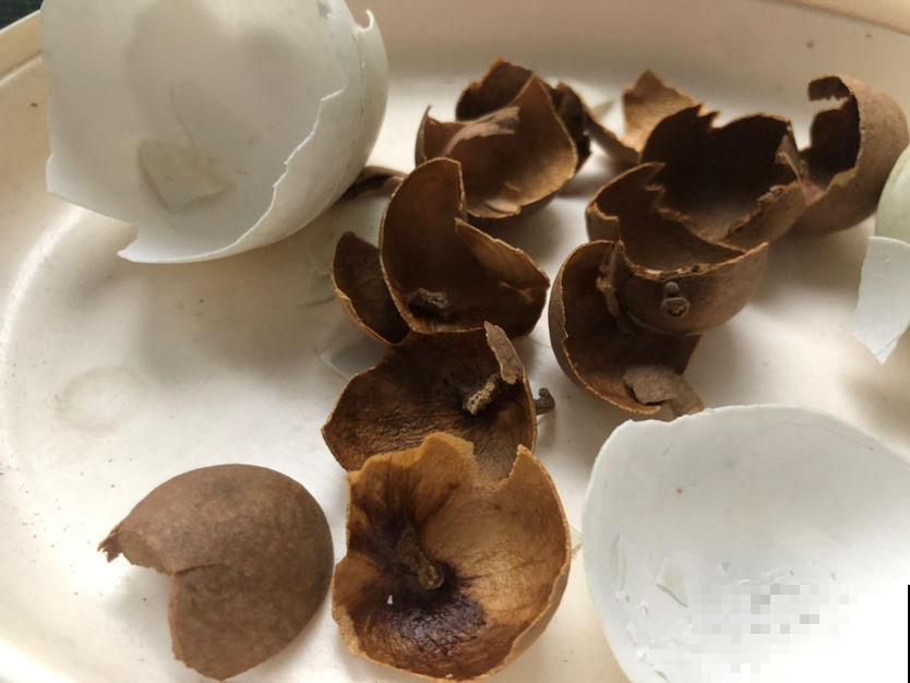 秋冬要多吃坚果,掌握5个妙招,坚果想吃就吃 秋冬要多吃坚果,掌握5个妙招,坚果想吃就吃