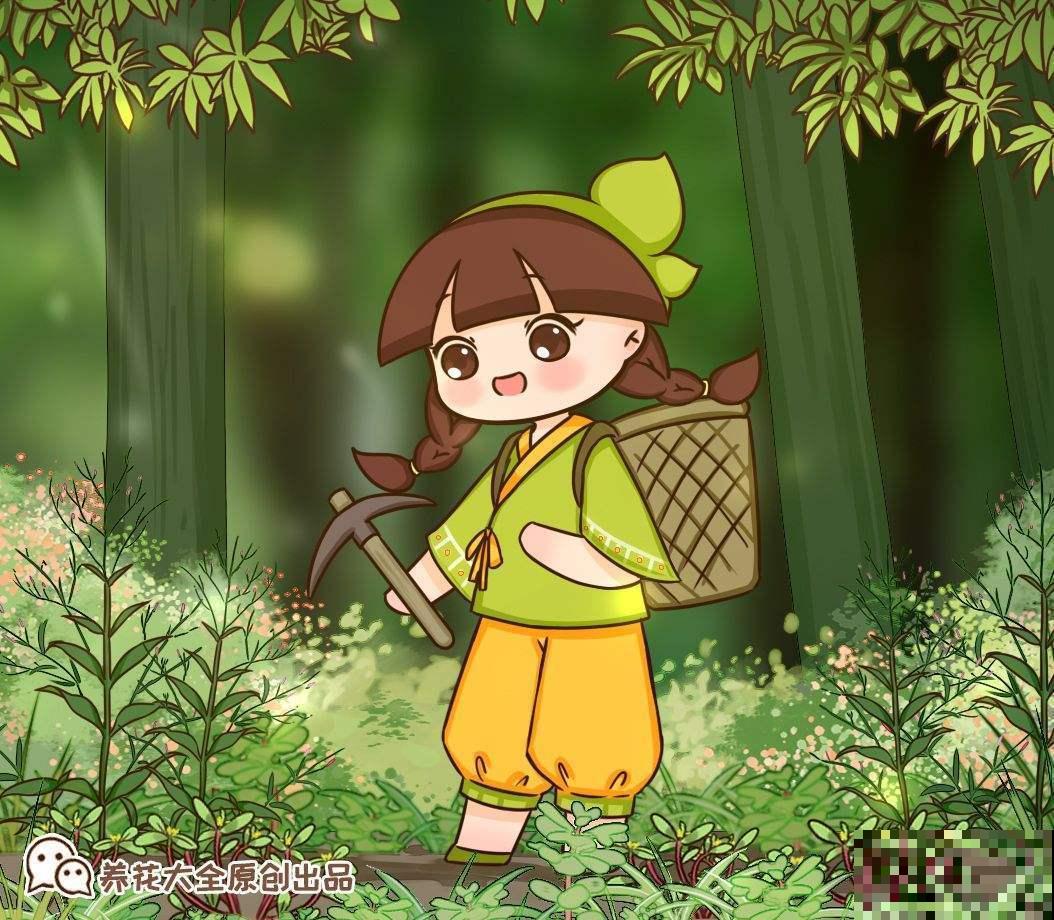 4种花农村很常见，如今城里十几块钱一把，贵得离谱