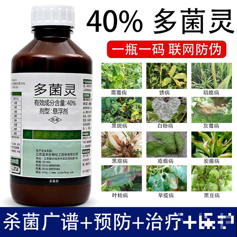 秋冬季缺不了的9种花，南北方都能养，现在准备不算迟
