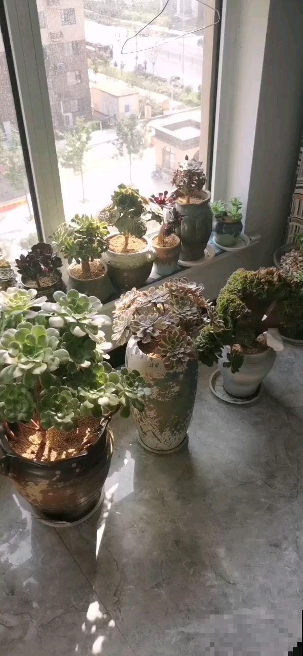 年底大扫除有妙招,省时省力分分钟搞定,自己也能干的完 年底大扫除有妙招,省时省力分分钟搞定,自己也能干的完