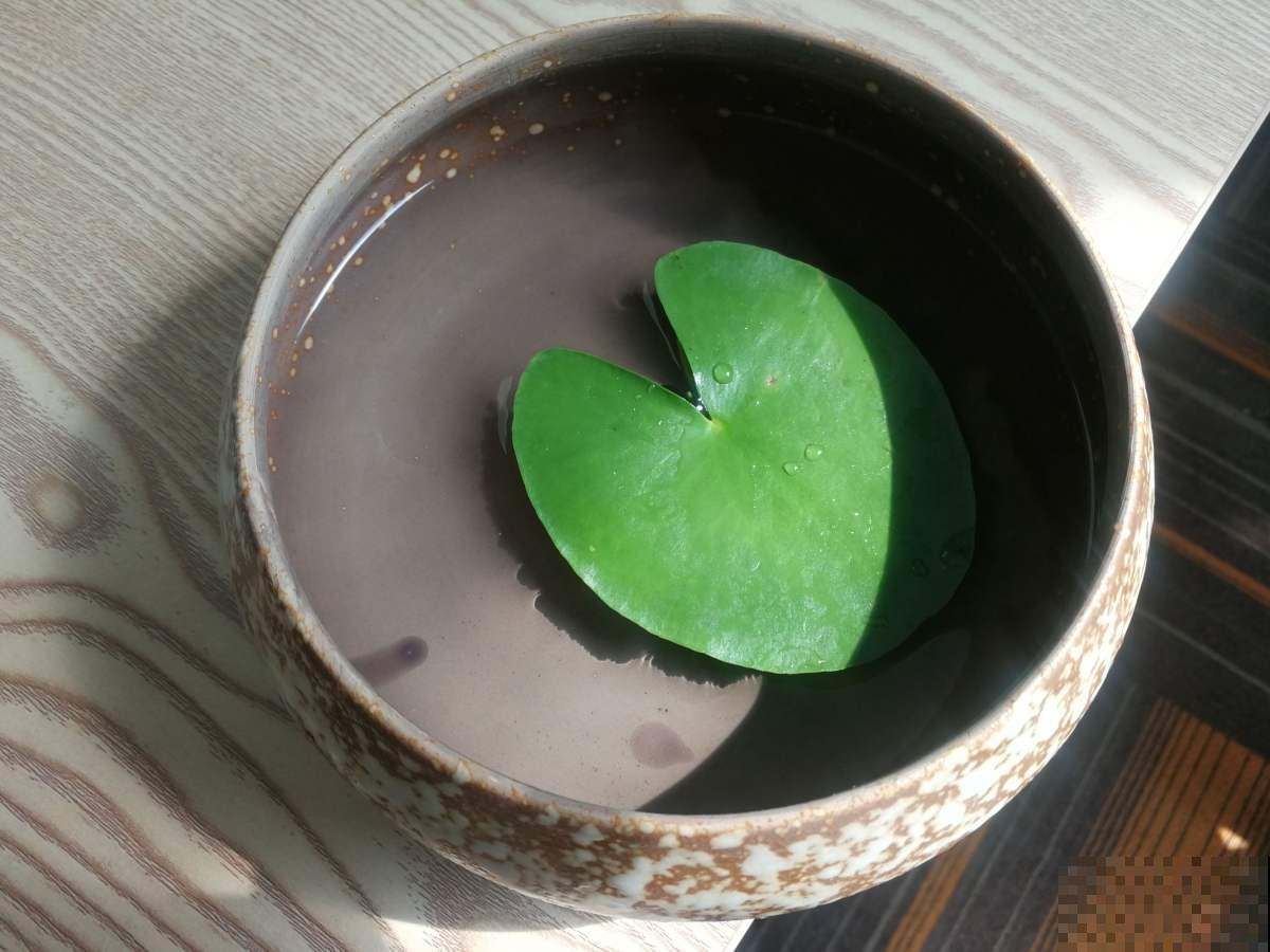 1种花放水里就能活，却不适合有孩子的家养，很可能变“水帘洞”