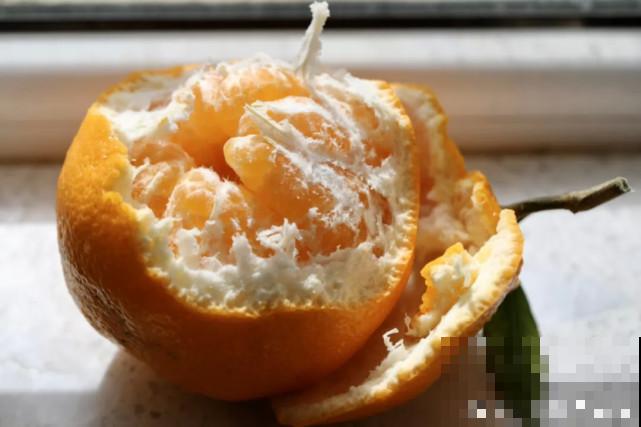 家里的“垃圾”留下，拿来养花效果好，颜值超高