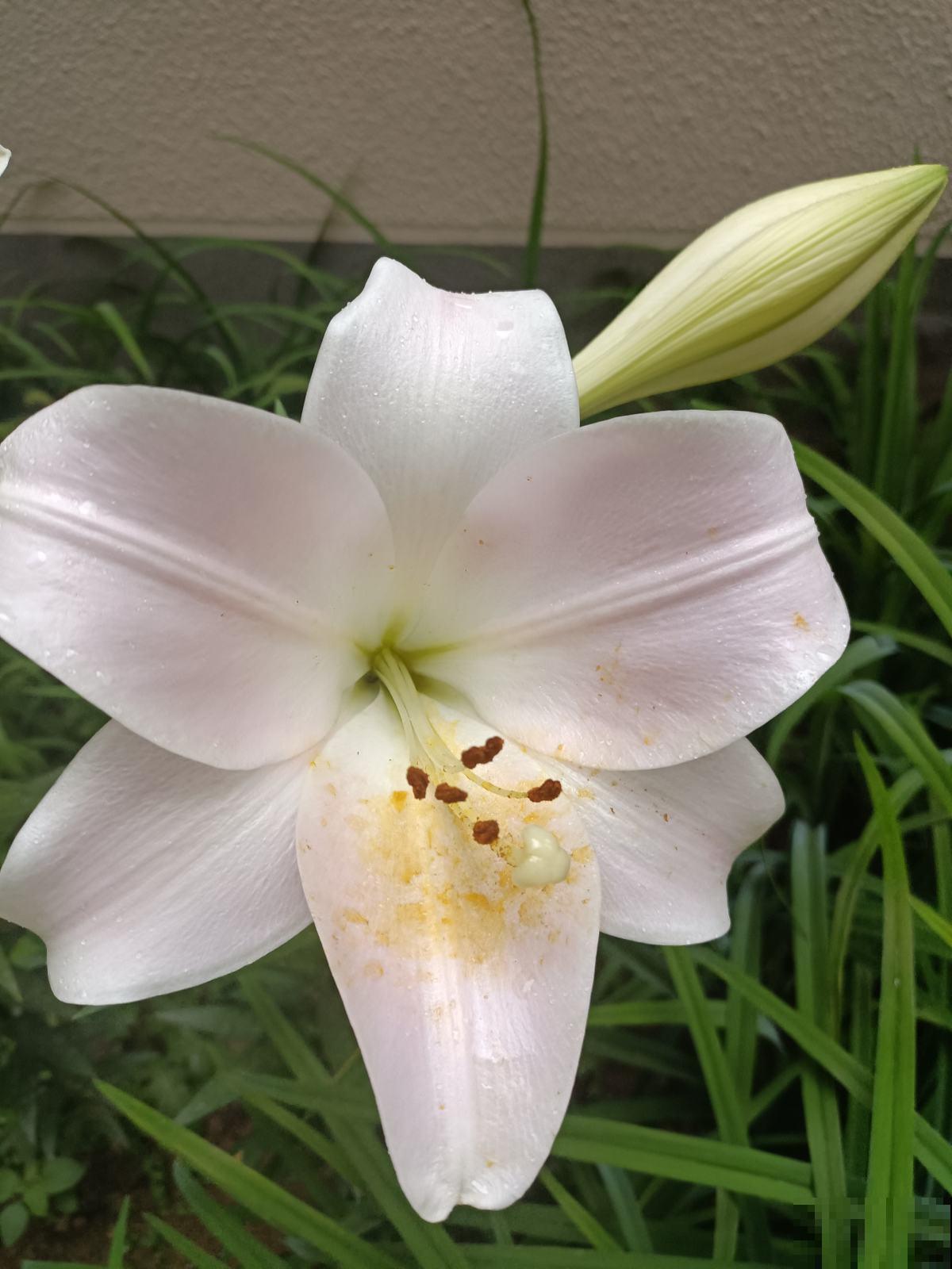 教师节送礼，是恶俗还是心意，全靠自己评判