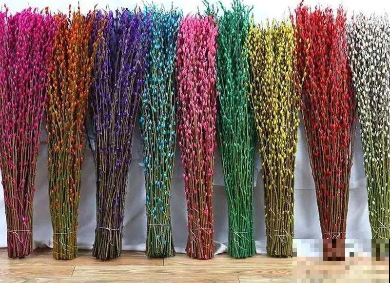 “家有银柳，越过越有”，当之无愧的“旺财花”，年前必须安排