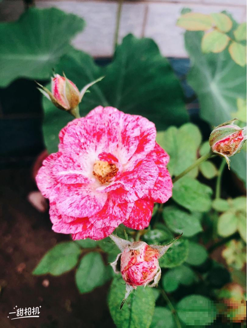 45岁之后，8个人生经验，越早知道越受益