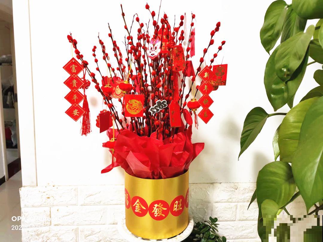 “家有银柳，越过越有”，当之无愧的“旺财花”，年前必须安排