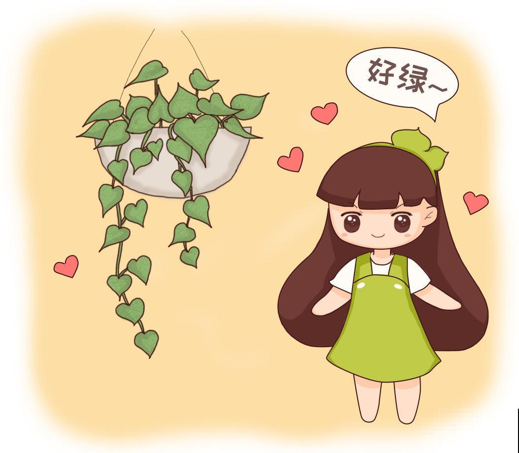 养花交过的智商税，8年资深花农告知你，这5点坑了你不少钱