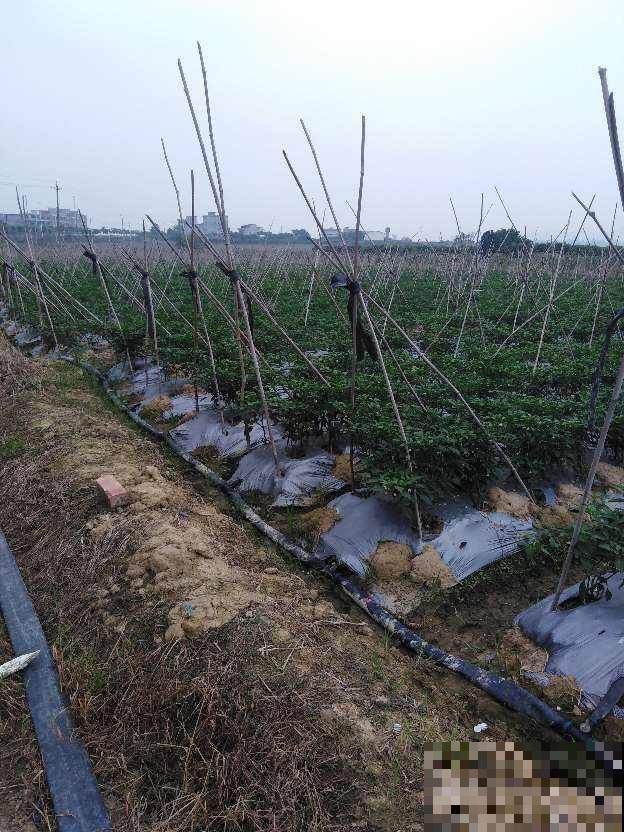 跟婆婆吵一架,婆婆死活不让孩子做农活,到底是养孩子还是养祖宗 跟婆婆吵一架,婆婆死活不让孩子做农活,到底是养孩子还是养祖宗