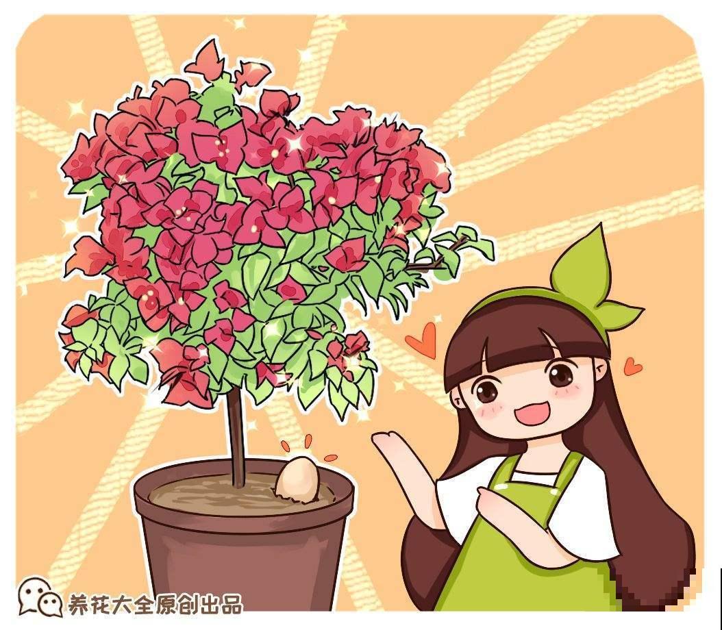 3种花引奇观，秋天一到，立刻爆开花