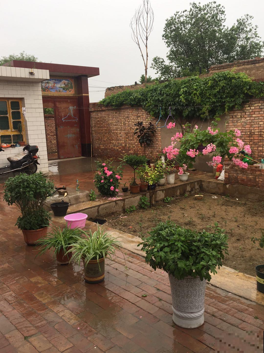 农村没人住的小平房，8万块钱就能买下来，拿来养花正好