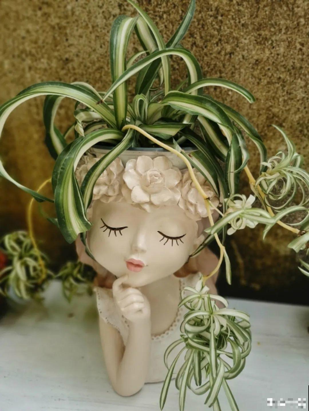 5种花盆,闷根又烂根,一养花就死掉 5种花盆,闷根又烂根,一养花就死掉