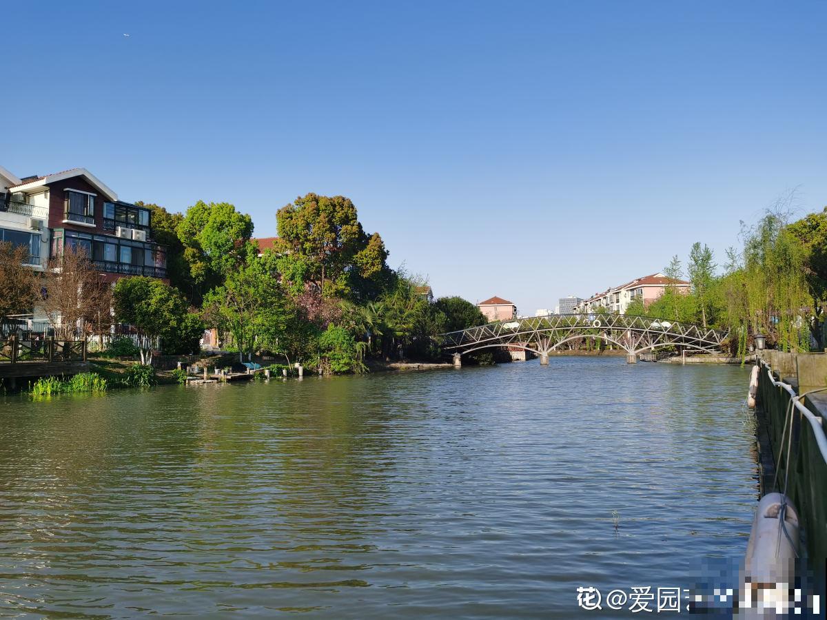 因为一个女人,我爱上了养花,从此生活有了颜色 因为一个女人,我爱上了养花,从此生活有了颜色