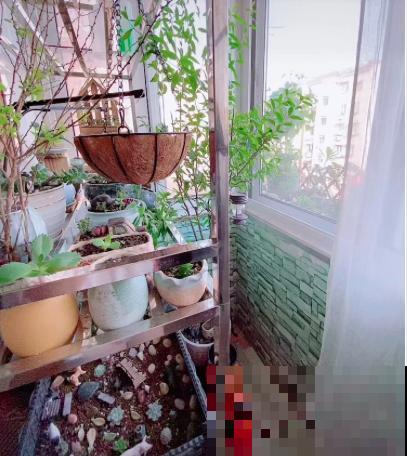 3个养花“禁地”，摆放花盆一定养不好