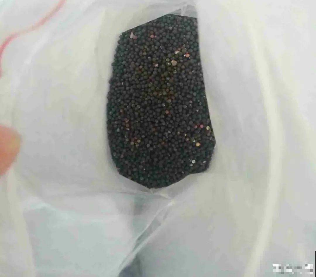秋天种16种花，冬天就能开爆盆，满盆都是花