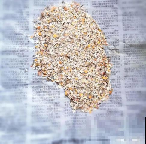 家里的“垃圾”留下，拿来养花效果好，颜值超高