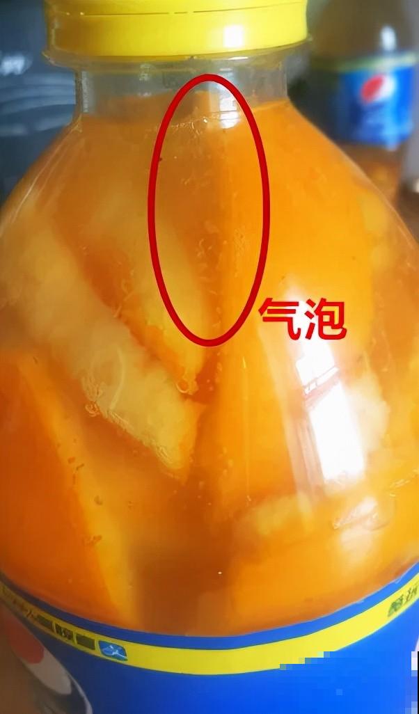 家里的“垃圾”留下，拿来养花效果好，颜值超高