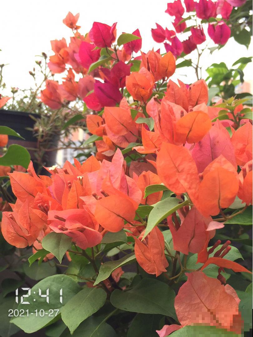 朋友圈转疯了,人到中年就怕5件事,早点看透少吃亏 朋友圈转疯了,人到中年就怕5件事,早点看透少吃亏