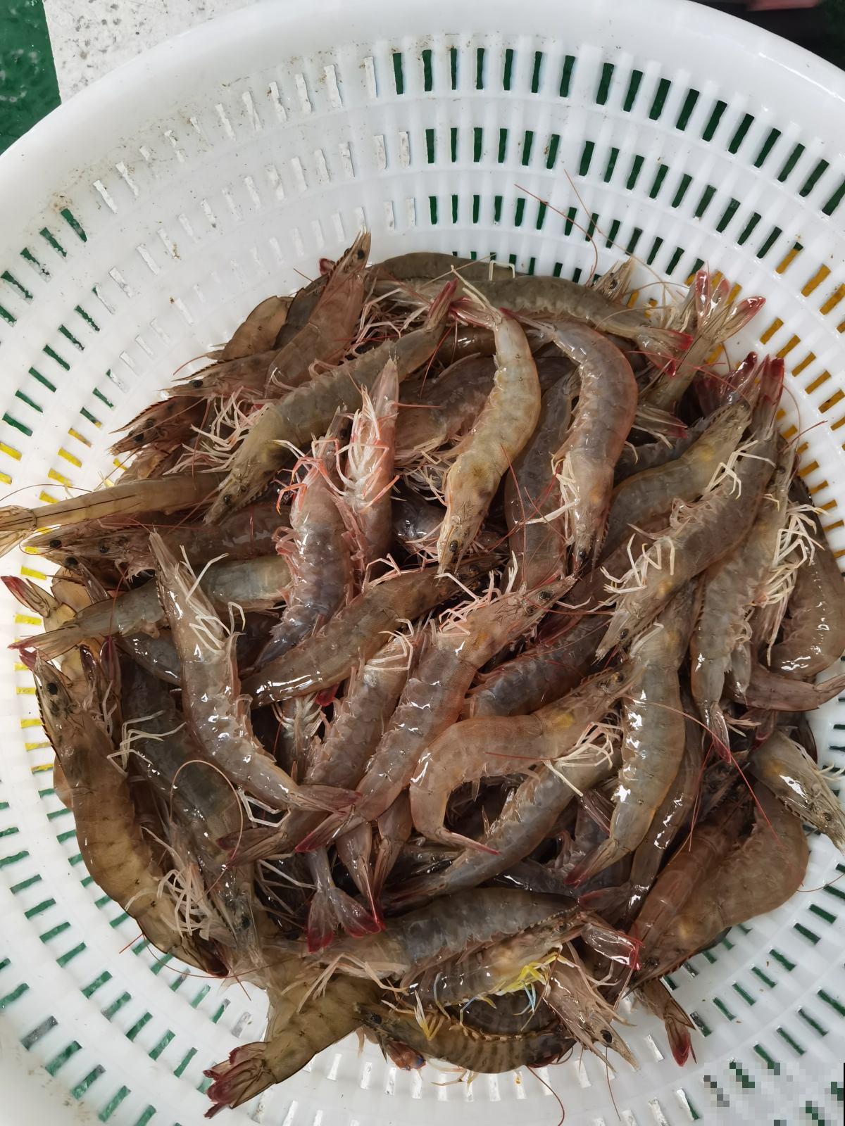 秋冬要少吃的5种食物，别等胃疼才后悔