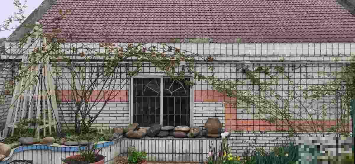 父母非要去乡下养花,拦都拦不住,两个月后却吵着要回家 父母非要去乡下养花,拦都拦不住,两个月后却吵着要回家