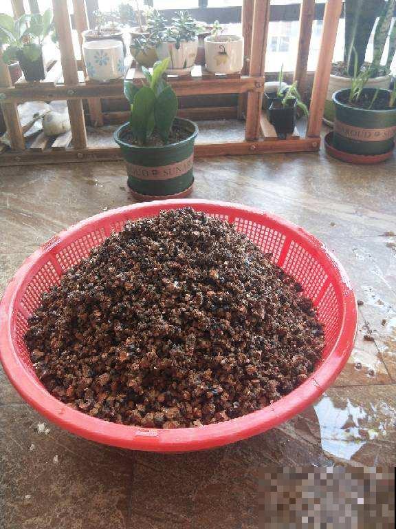 “垃圾”不要扔，拿来养花效果好，扔掉就是扔钱