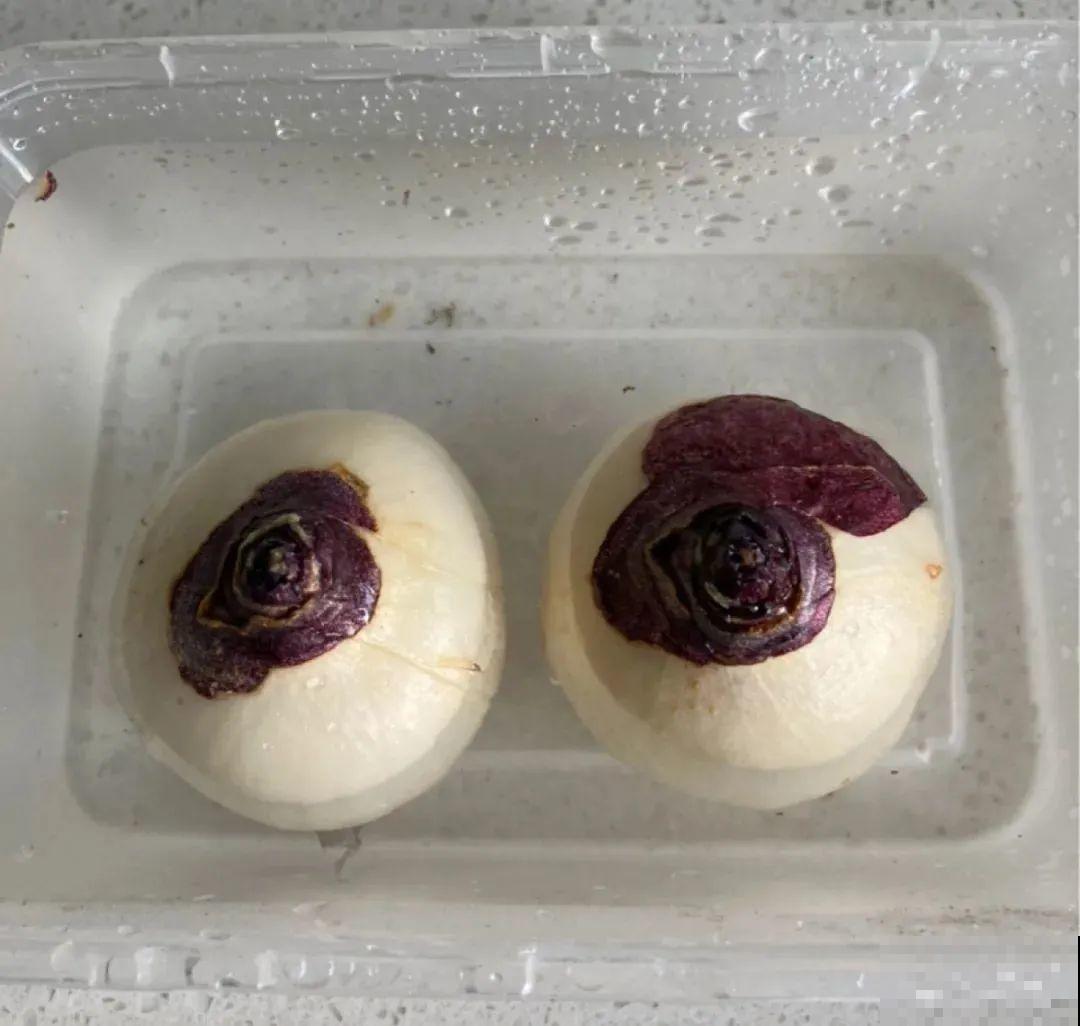 买茶花也要注意“坑”，注意5要点，叶子挺立有精神