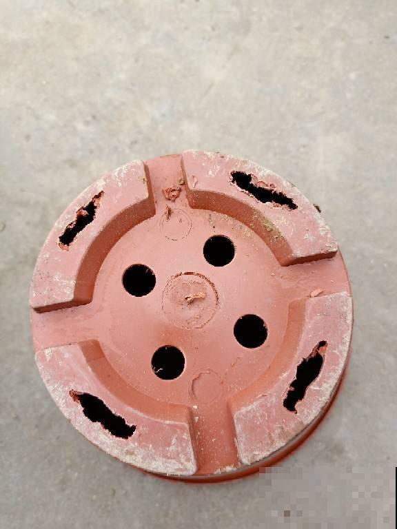 养花积水烂根怎么办？5个办法学起来，保根又促芽