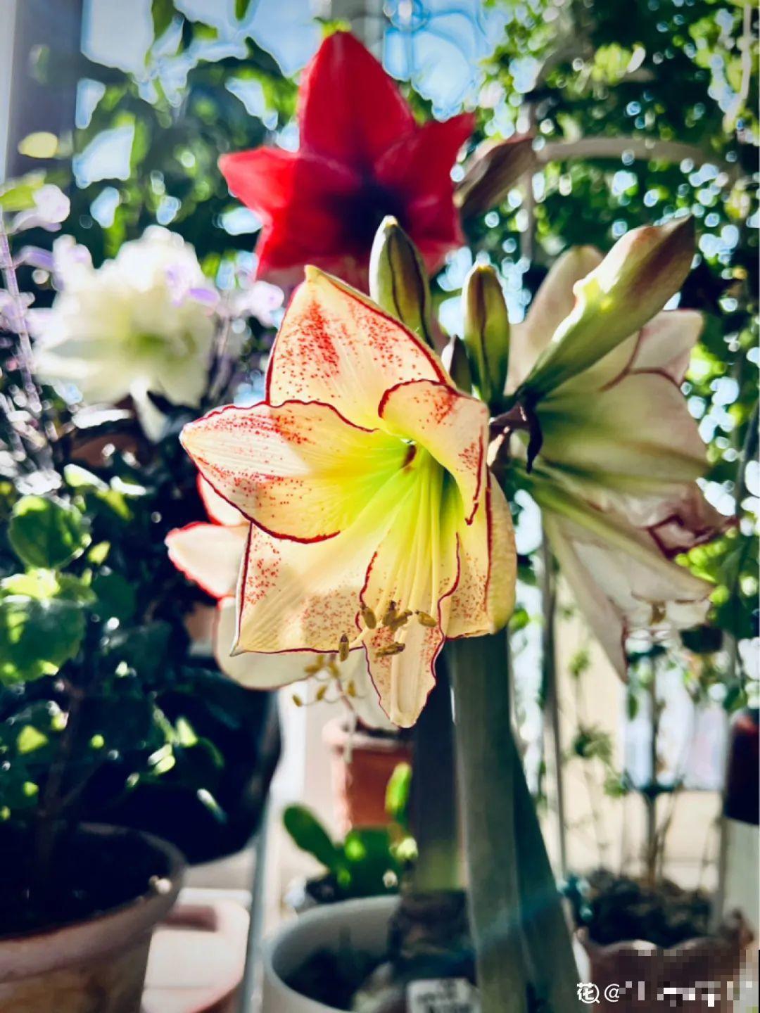 不良商贩真缺德，高价卖假货，不少人都上当