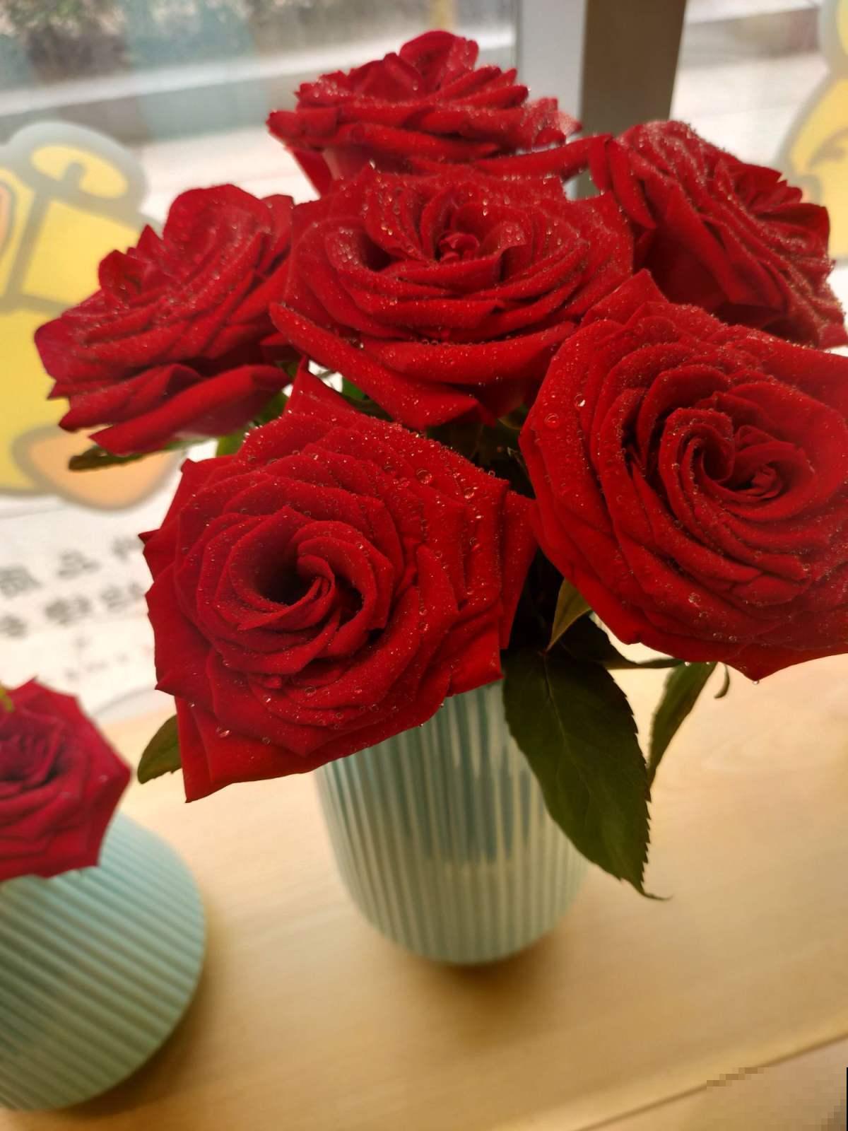 1种“养人花”,开花又大又好看,还能用来做吃的 1种“养人花”,开花又大又好看,还能用来做吃的