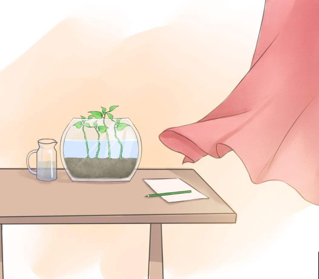 养花“入门课程”，5种化肥知识，新手花友要牢记