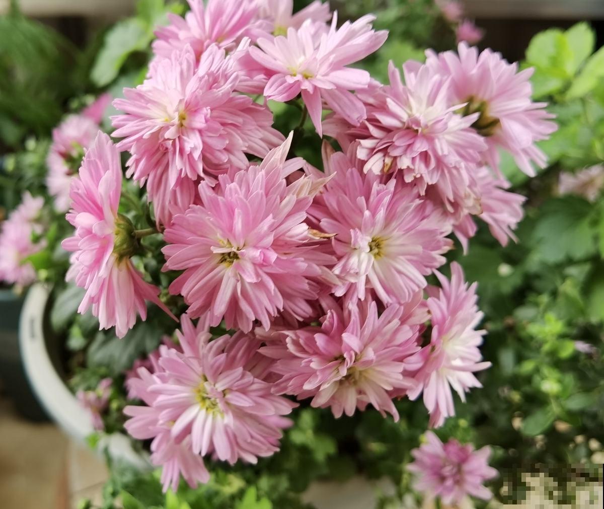 这10个道理,过了40岁之后才懂,你懂了几个? 这10个道理,过了40岁之后才懂,你懂了几个?