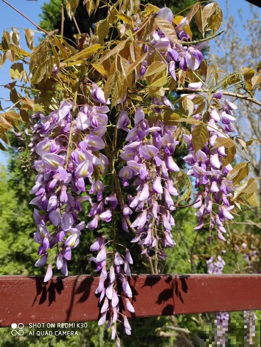 不同的酸碱度，养出的花卉也不同，千万别搞混