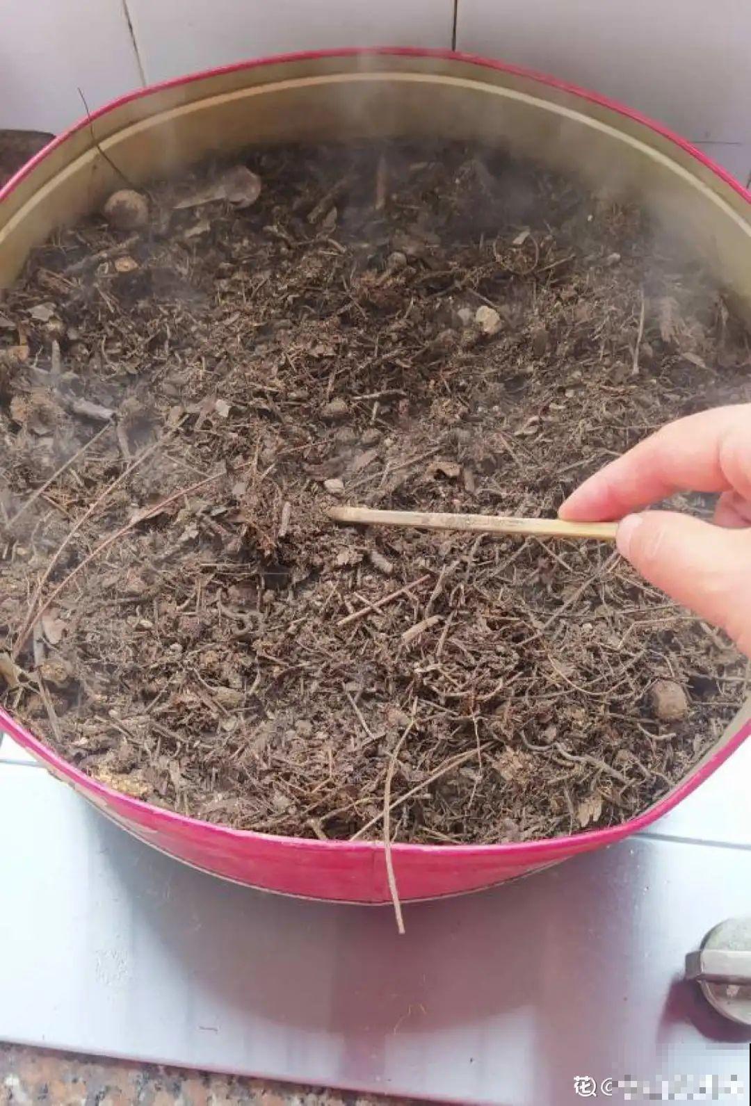 10种“垃圾”不要丢，拿来养花效果好，还能省下一笔钱