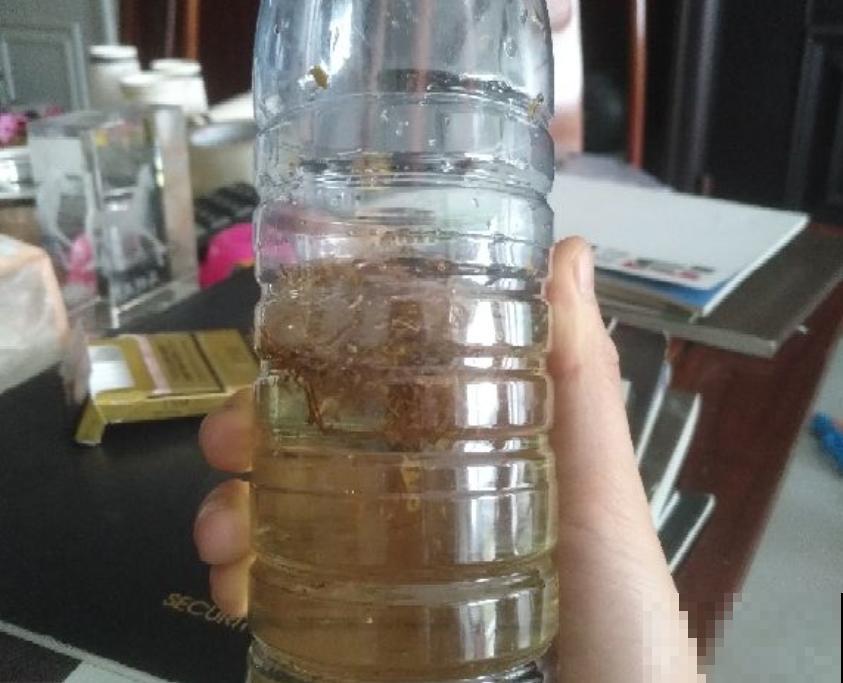 给花喝3种“常见水”，植物少生病，长得更健壮