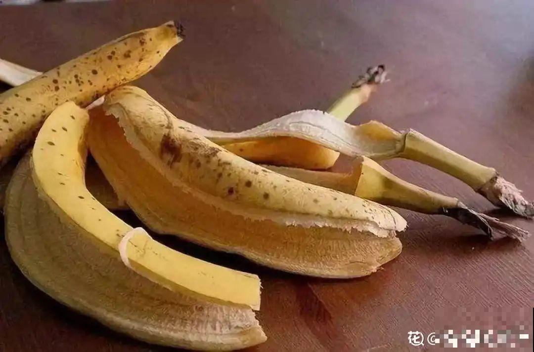 10种“垃圾”不要丢，拿来养花效果好，还能省下一笔钱