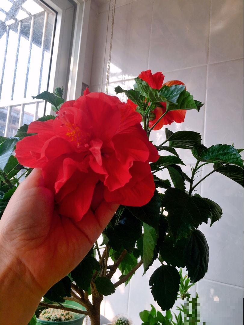 45岁之后，8个人生经验，越早知道越受益